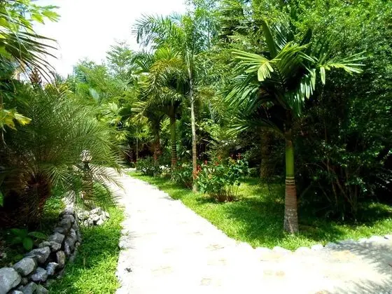 Hotel Khao Sok & Spa - Dış Mekan