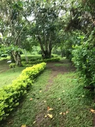 Kibale Safari Lodge - Dış Mekan