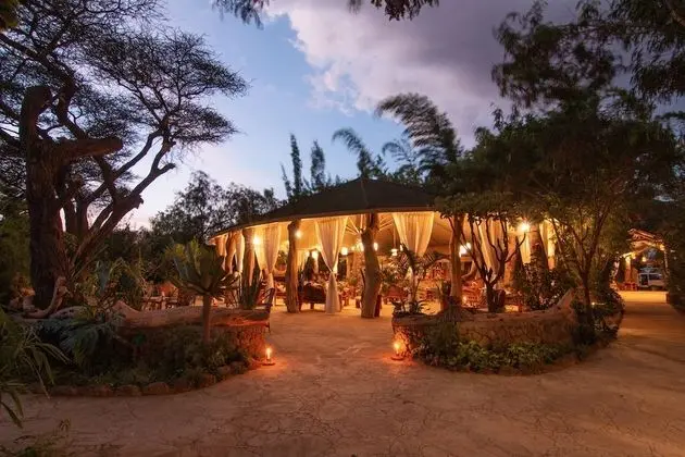 Kibo Safari Camp - 1