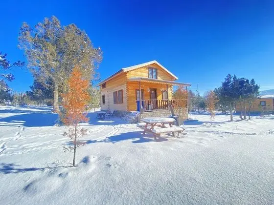 Kıbrıscık Köroğlu Dağ Evleri - Oda