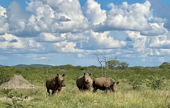 Kifaru Luxury Lodge & Bush Camp - Dış Mekan