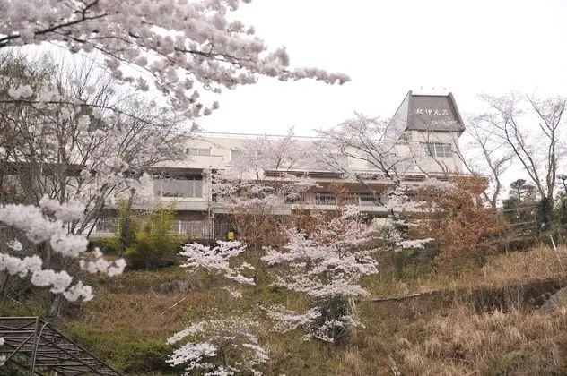 Kiimiso
