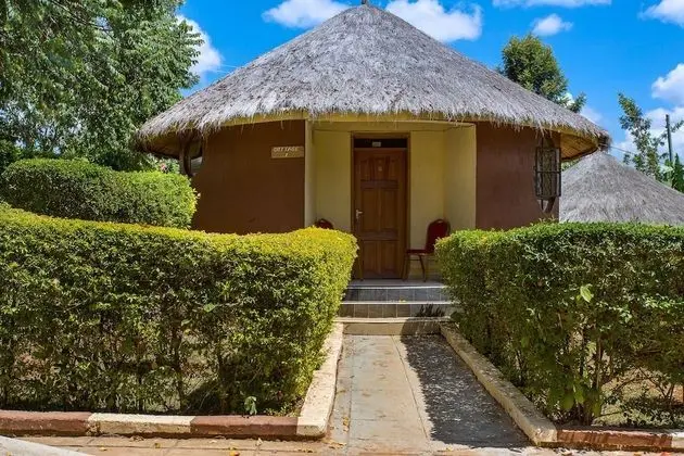 Kilimo Talii