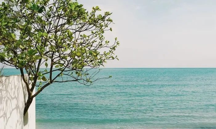 Kimpton Kitalay Samui, an IHG Hotel - Plaj