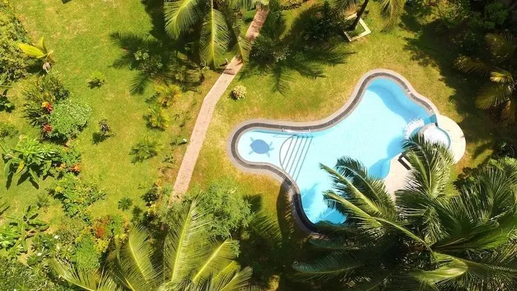King Coconut Lodge - Havuz