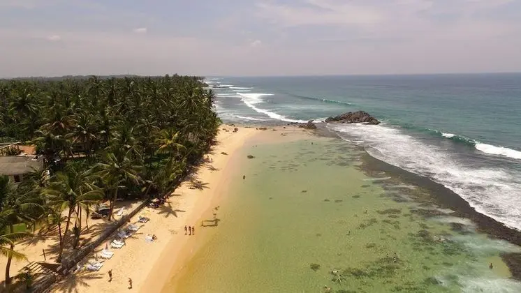 King Coconut Lodge - Plaj