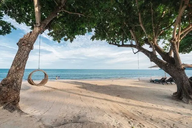 King's Garden Resort - Plaj