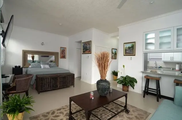 Kingsway New Kingston Guest Apartment II - Öne Çıkan Resim