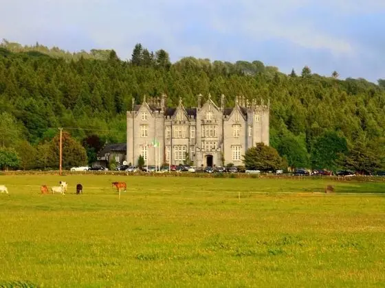 Kinnitty Castle Hotel - 1