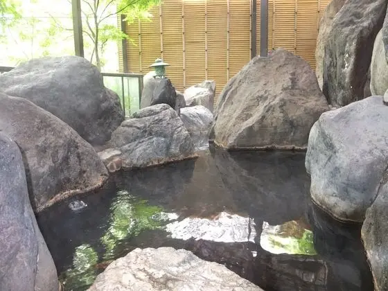 Kinugawa Park Hotels Park Cottage - Havuz