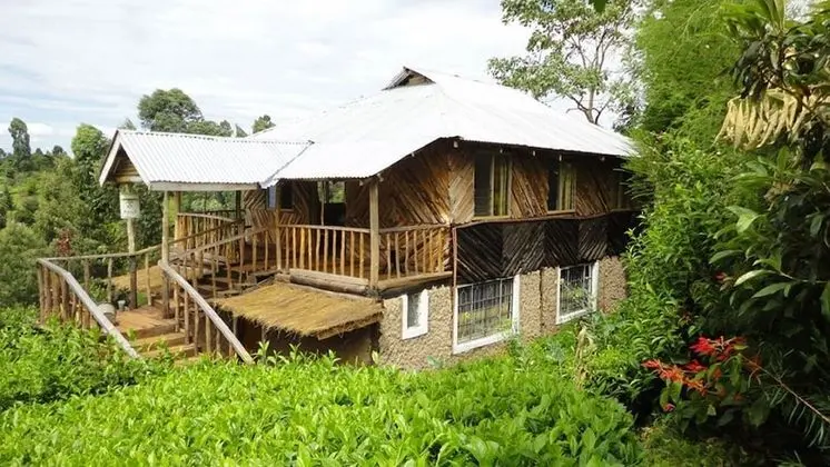 Kip S Eco Resort