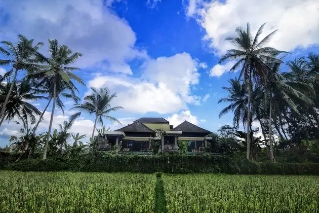 Villa Kirani Ubud - CHSE Certified - Dış Mekan
