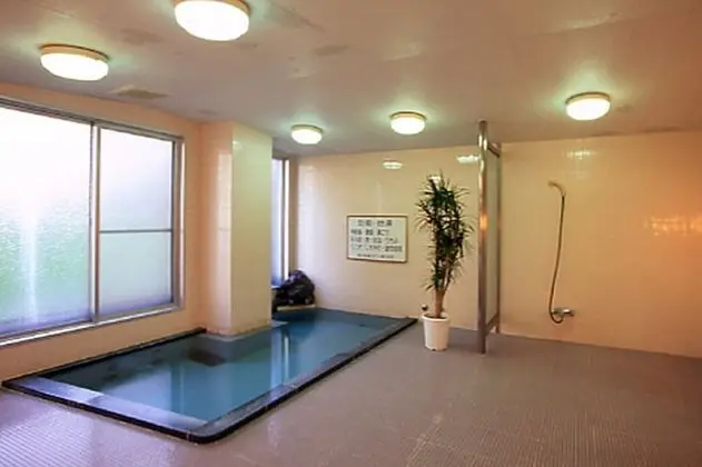 Kitashiga Holiday inn - Havuz