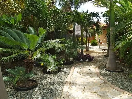 The Kite Apartments