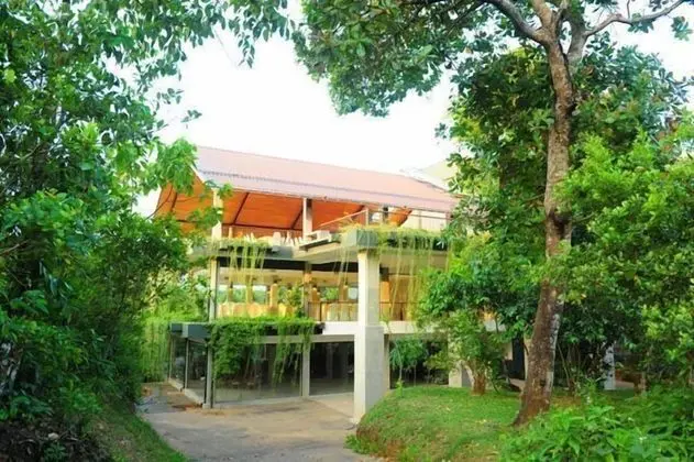 Kithul Kanda Mountain Resort - 1