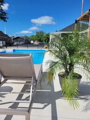 The Kiwi Motel - Havuz