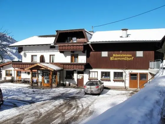 Klammlhof Rohrberg in Rohrberg - Oda