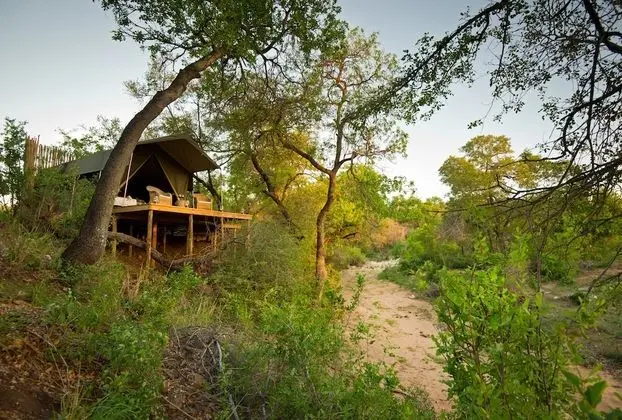 Klaserie Sands Safari Trails - Dış Mekan