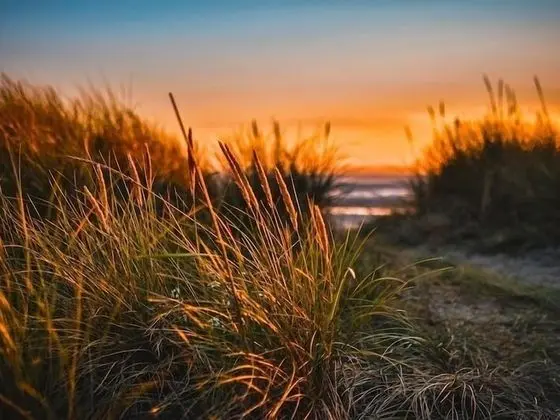 Kleines Strandhotel - Plaj