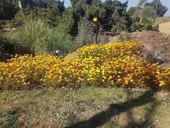 Kleineweide Guest House - Dış Mekan