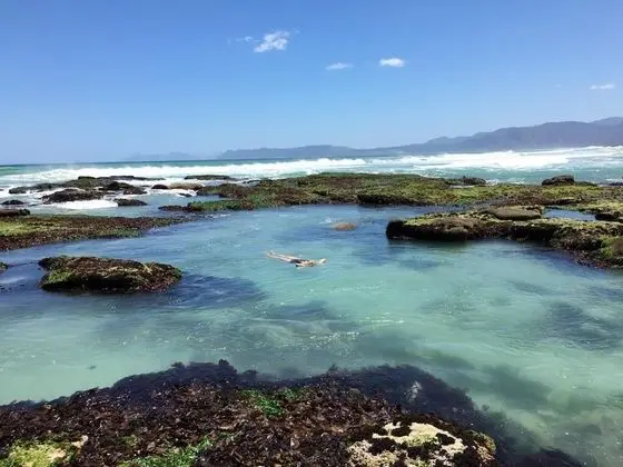 Kleinzee Oceanfront Guesthouse - Plaj