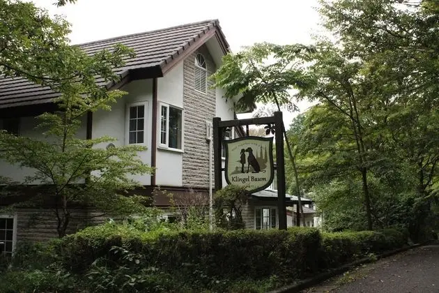 Klingel Baum