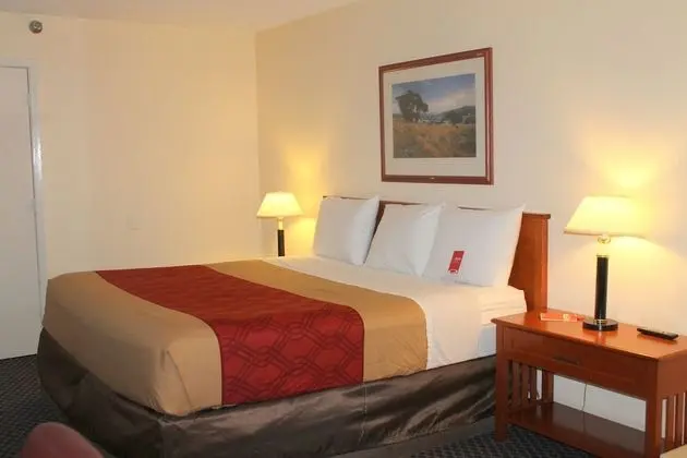 Knights Inn College Station - Oda
