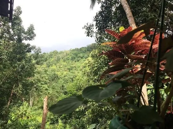 Knuckles Range - Aruni Villa - Dış Mekan