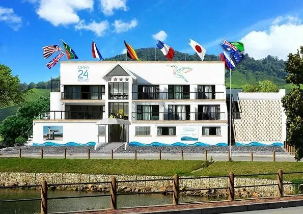 Knysna Terrace Guesthouse