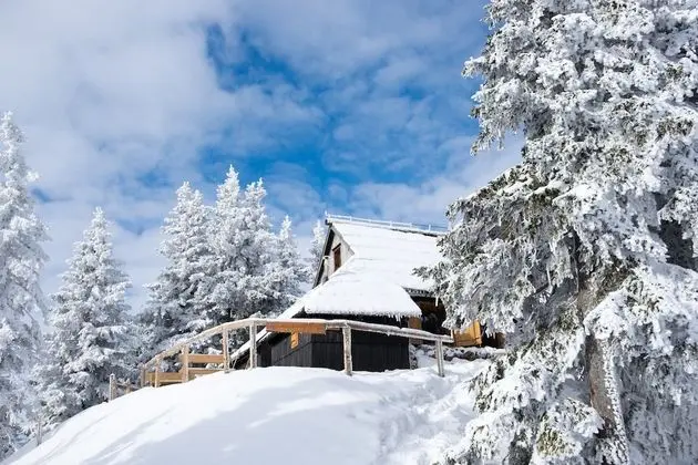 Koca Bistra - Velika planina - Lobi