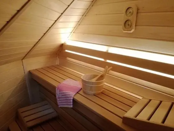 Koca Ojstrica - Velika planina - Spa