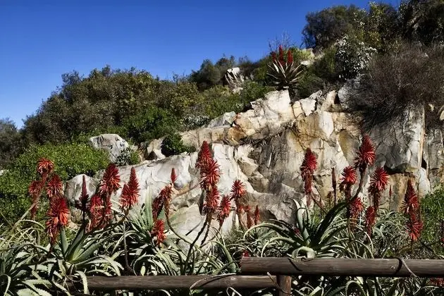 Kogman and Keisie Guest Farm - Dış Mekan