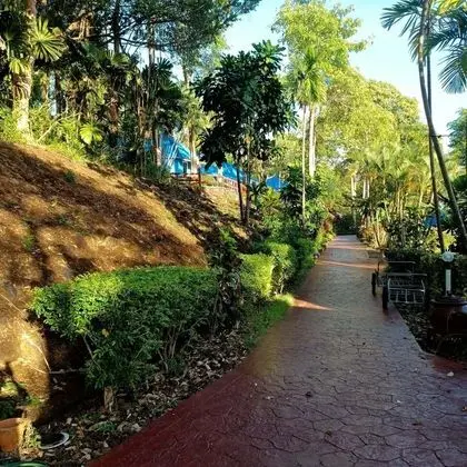Koh Mak Buri Hut Natural Resort - Dış Mekan