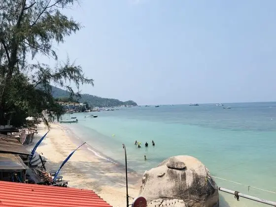 Koh Tao My Hostel