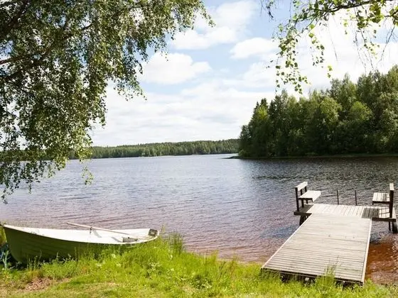 Koivuranta Sipsi in Sipsi - Oda