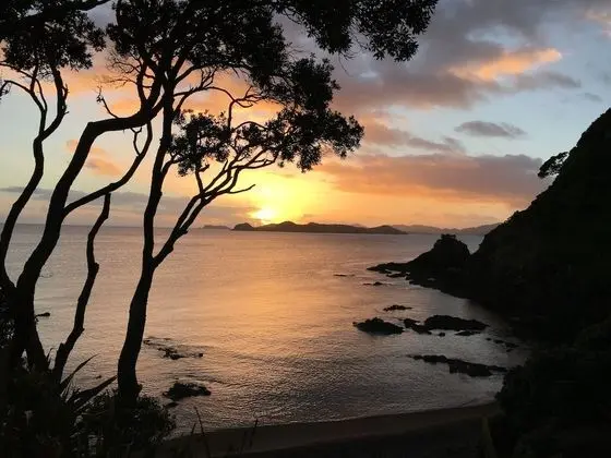 Kokomo Retreat - Havuz