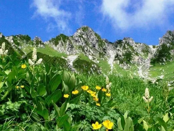 Komagane Kogen Resort Linx - Dış Mekan