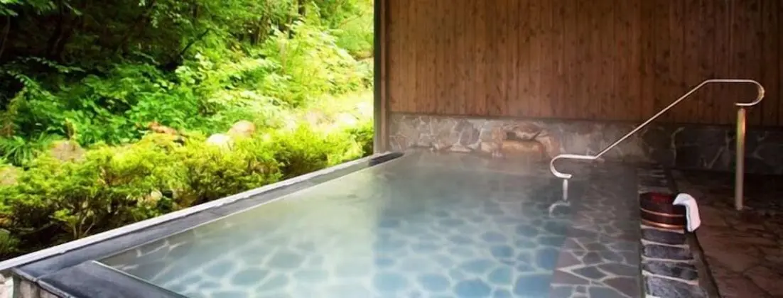 Komagane Kogen Resort Linx - Havuz