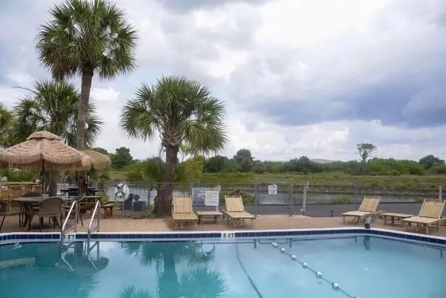 Kon Tiki Inn - Havuz