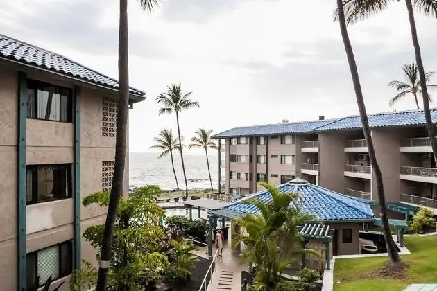 Kona Reef #d22