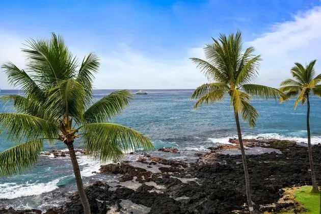 Kona Reef D32 - Öne Çıkan Resim