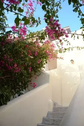 Kontseta Guesthouse - Dış Mekan