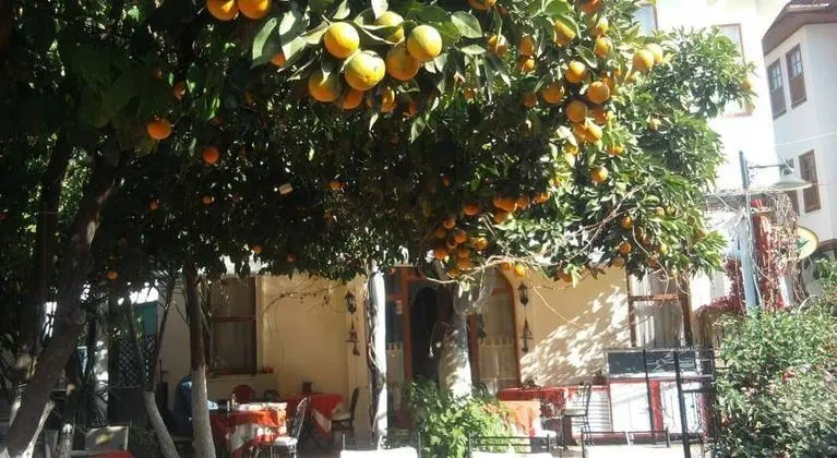Konukzade 36 Hotel - Yeme / İçme