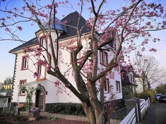 Villa Kopp - Das Gästehaus