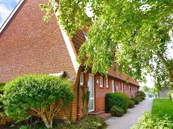 Koralle Norden in Norden