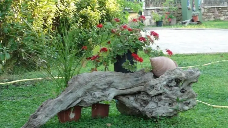 Koroni Village - Dış Mekan