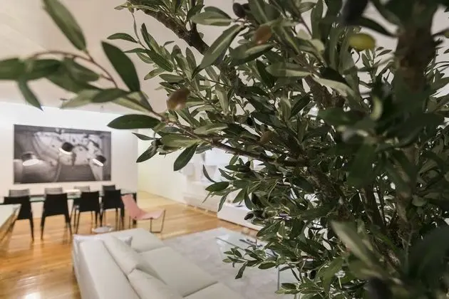 Koru Central Downtown Design Apartment - İç Mekan