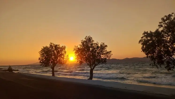Kos Palace Hotel - Plaj