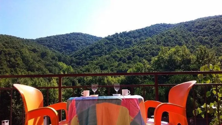 Köşdere Kırkgeçit Termal Hotel - Genel