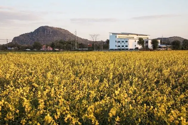 Kosit One Hotel - Dış Mekan